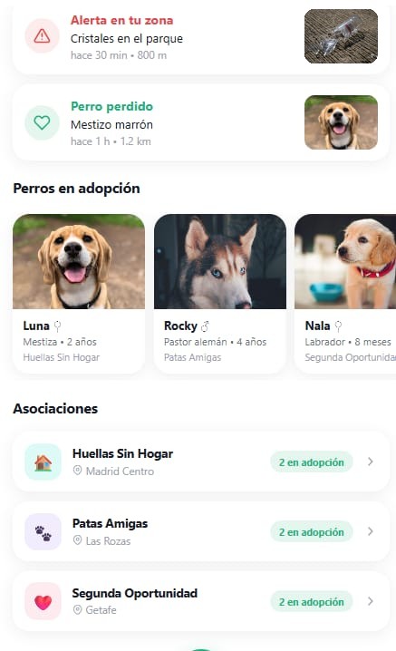 Perros en adopción de las asociaciones Huellas Sin Hogar, Patas Amigas y Segunda Oportunidad