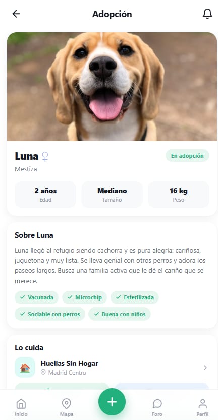 Ficha de adopción de Luna con edad, tamaño, peso, vacunas, microchip y la asociación que la cuida
